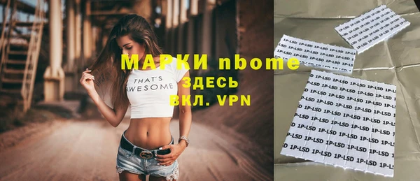 apvp Алзамай
