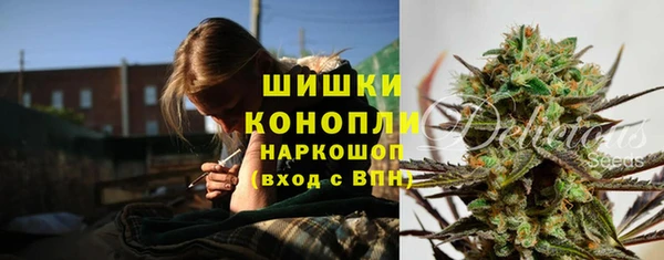 PSILOCYBIN Алексин